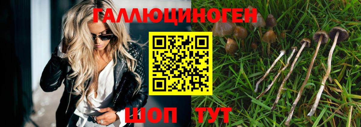 Псилоцибиновые грибы мицелий Асино