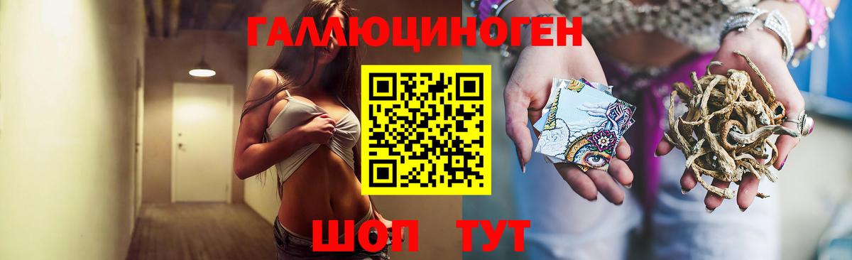 Псилоцибиновые грибы GOLDEN TEACHER  Вход с VPN  Асино 